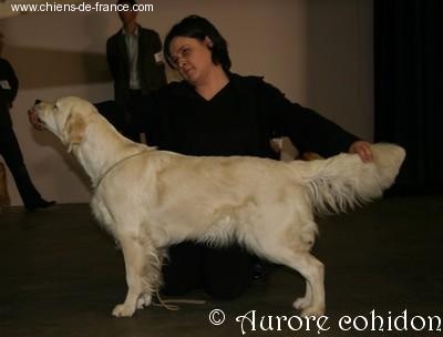 A sweet music of lanson fields - EXCELLENT