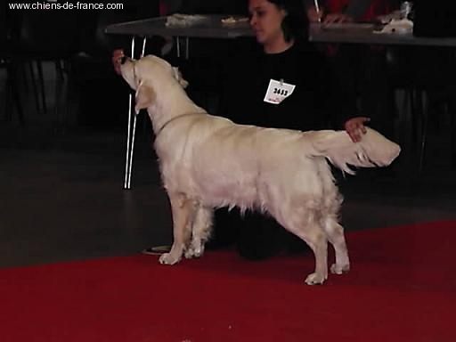 A sweet music of lanson fields - 4 EME EXCELLENT