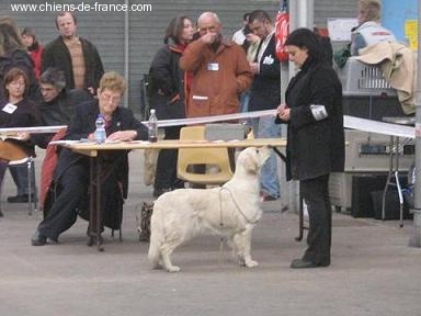 A sweet music of lanson fields - 2 EME EXCELLENT