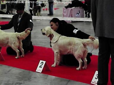 A sweet music of lanson fields - 2 EME EXCELLENT