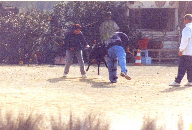 Publication : Du Ribaudeau Auteur : Dupas Jean-Claude