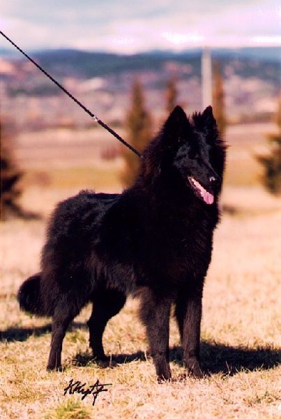 Publication : Du Ribaudeau