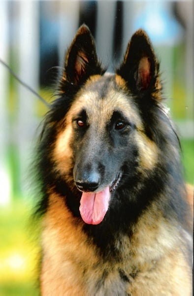 Publication : Du Ribaudeau