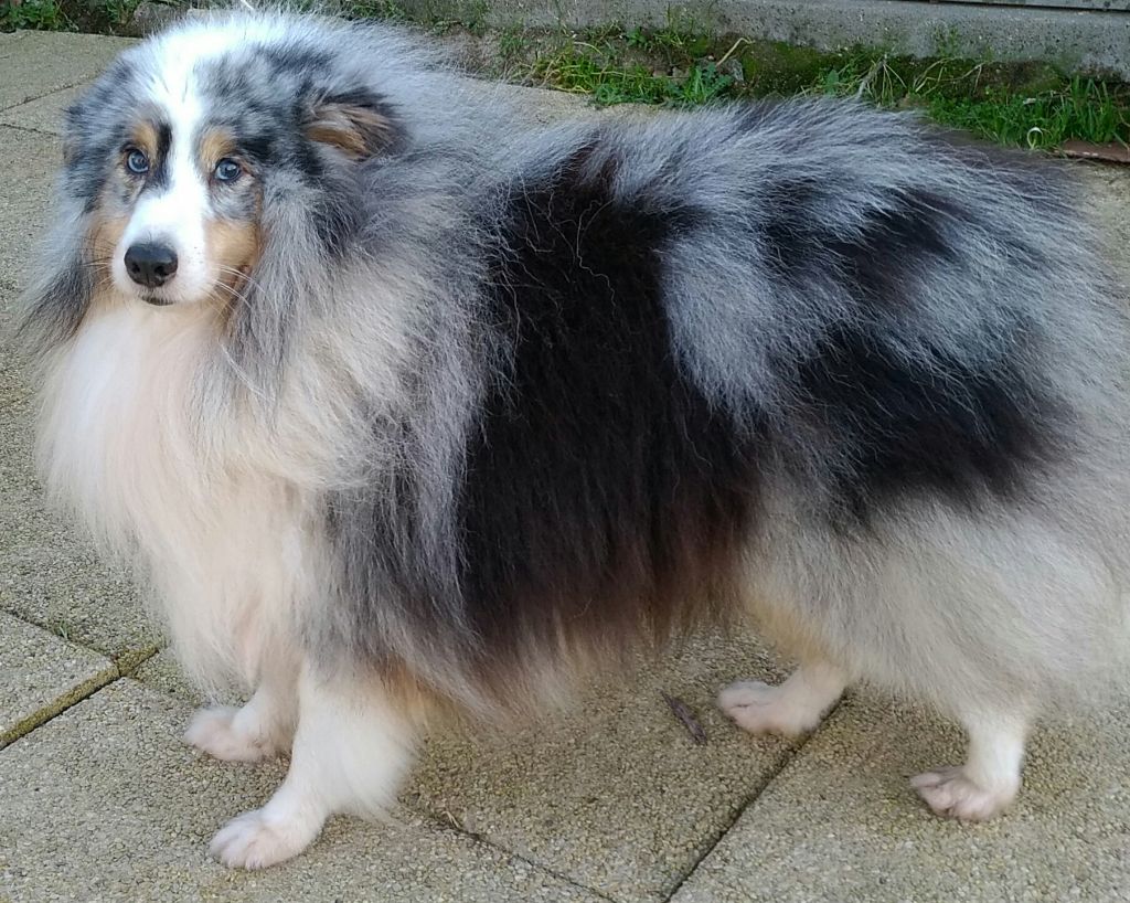 Publication : Du clos holy land Auteur : MME GENTILHOMME