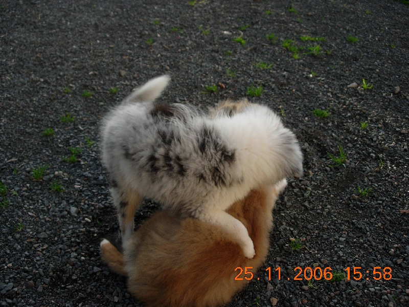 Publication : Du clos holy land