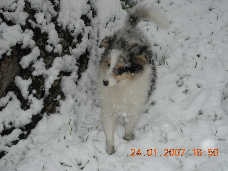 Publication : Du clos holy land