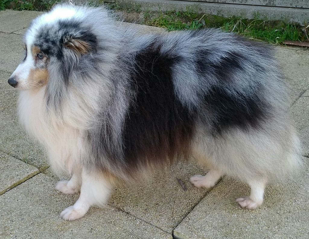 Publication : Du clos holy land Auteur : MME GENTILHOMME