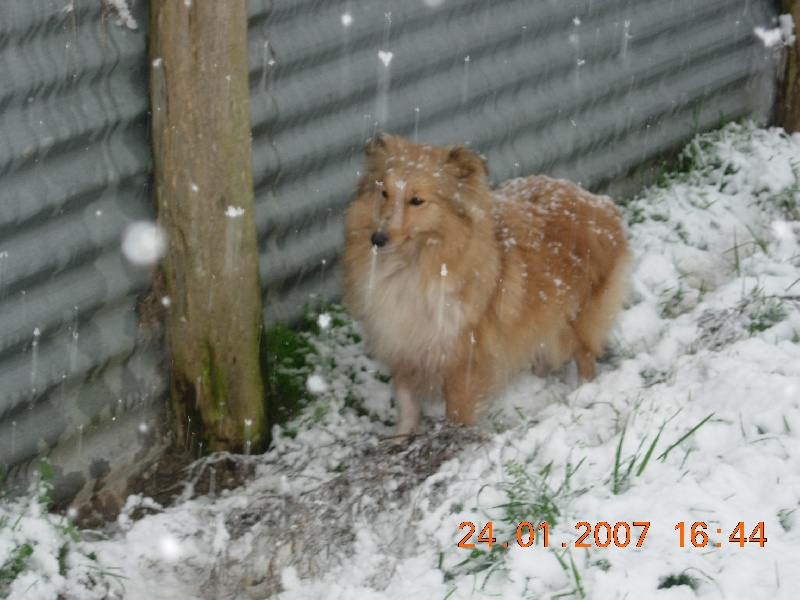 Publication : Du clos holy land Auteur : MME GENTILHOMME