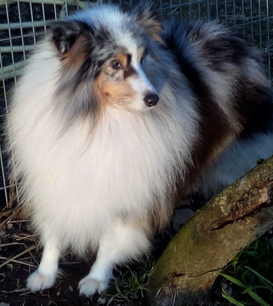 Publication : Du clos holy land Auteur : MME GENTILHOMME