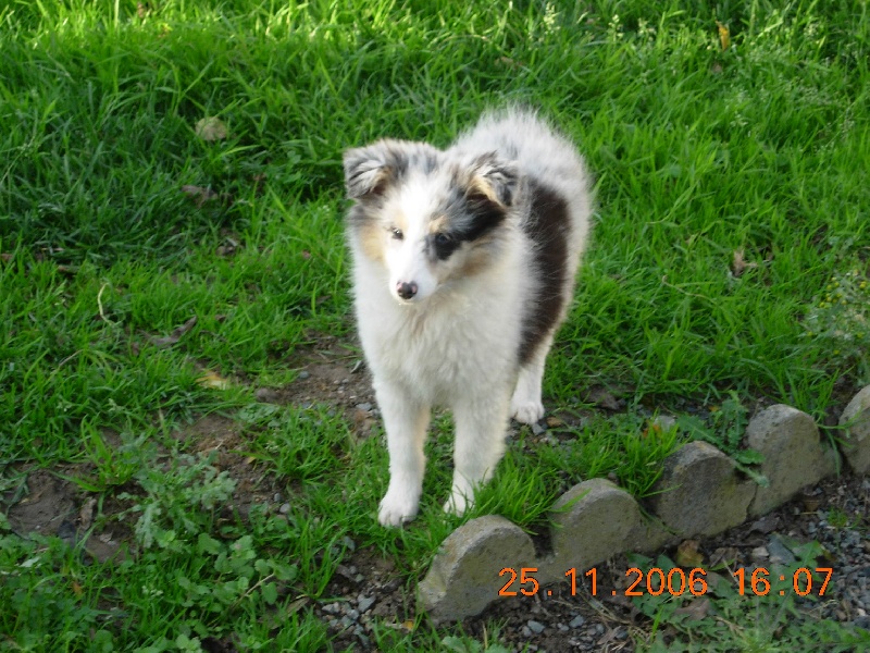 Publication : Du clos holy land