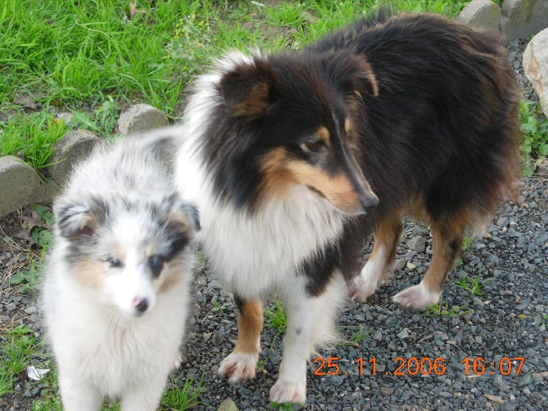 Publication : Du clos holy land