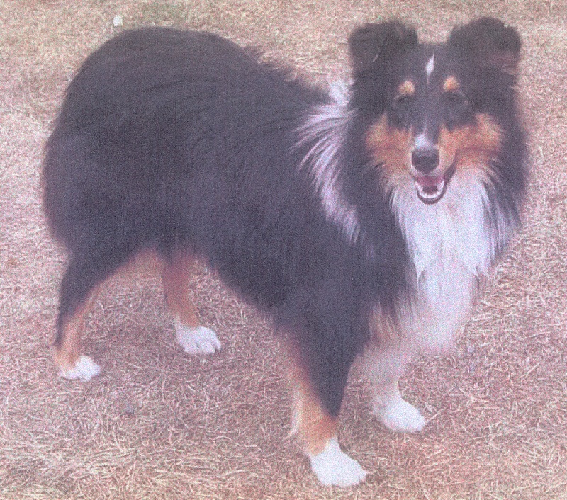 Vysheup Du clos holy land - EXCELLENT