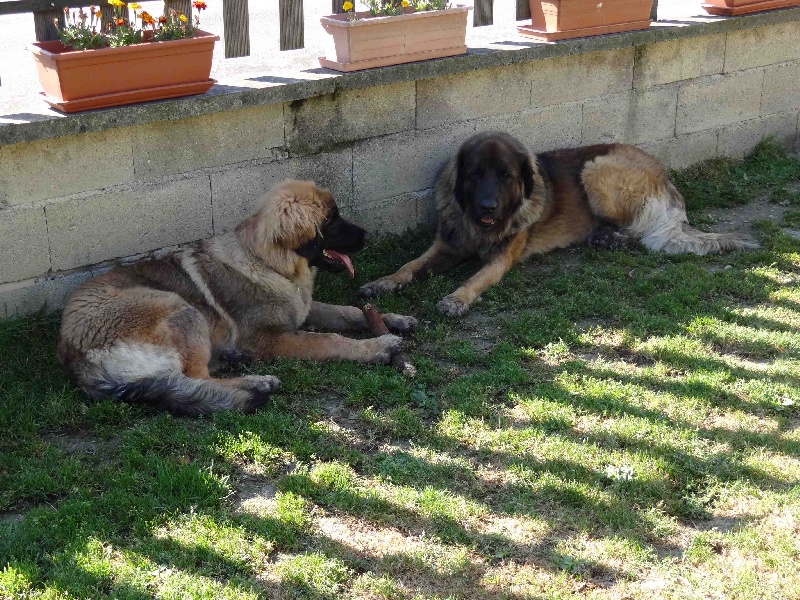 Hindra kinnley du chemin de dolimon