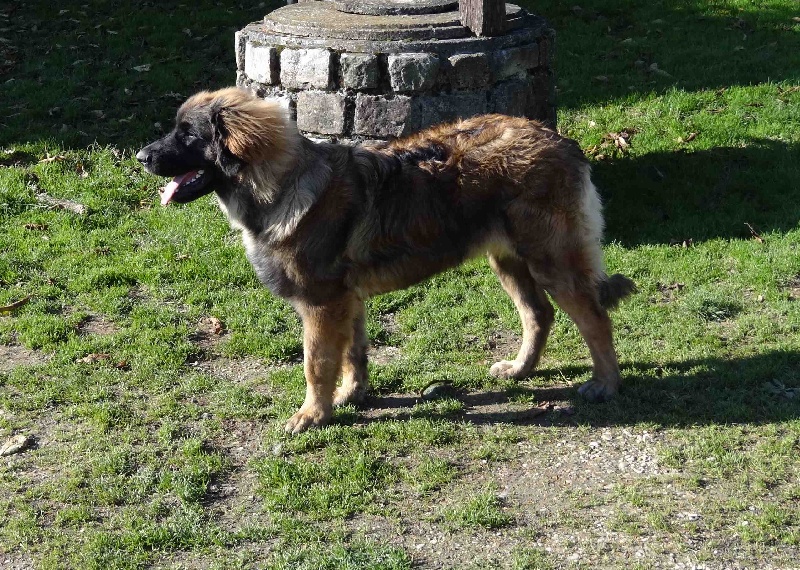 Hindra kinnley du chemin de dolimon