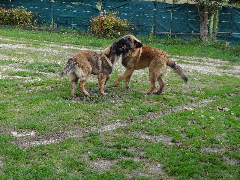 Hindra kinnley du chemin de dolimon