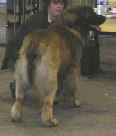 Publication : du chemin de dolimon Auteur : decker nicole