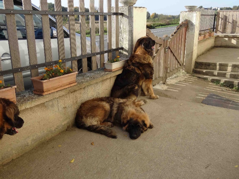 Hindra kinnley du chemin de dolimon