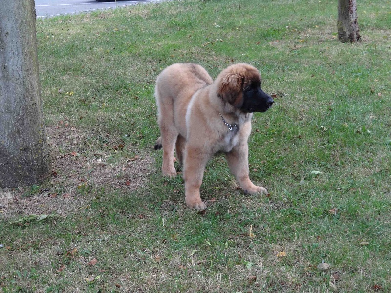 Hindra kinnley du chemin de dolimon