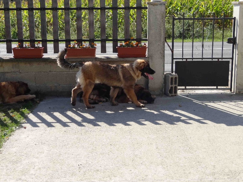 Hindra kinnley du chemin de dolimon