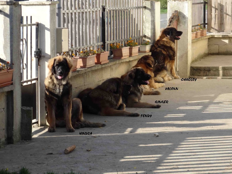 Hindra kinnley du chemin de dolimon