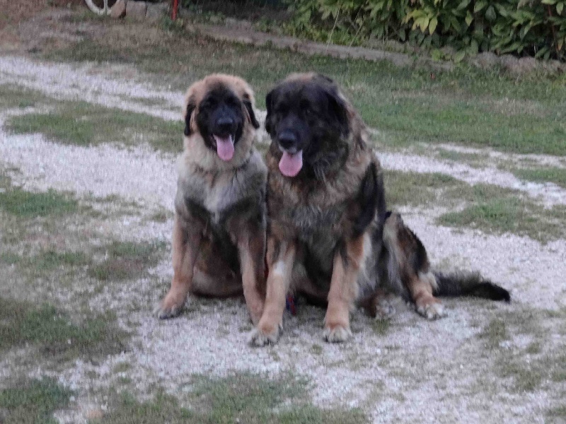 Hindra kinnley du chemin de dolimon