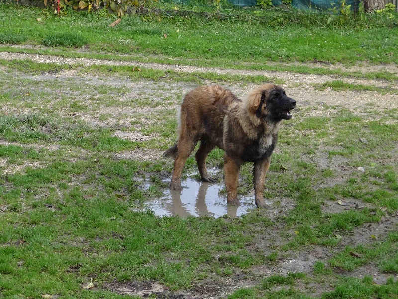 Hindra kinnley du chemin de dolimon