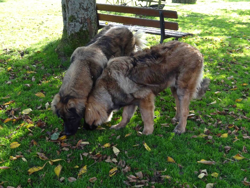 Hindra kinnley du chemin de dolimon