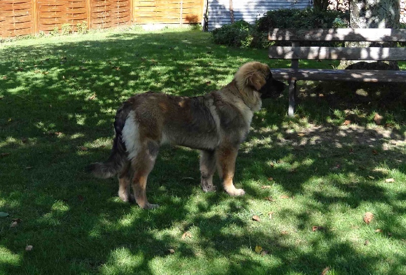 Hindra kinnley du chemin de dolimon