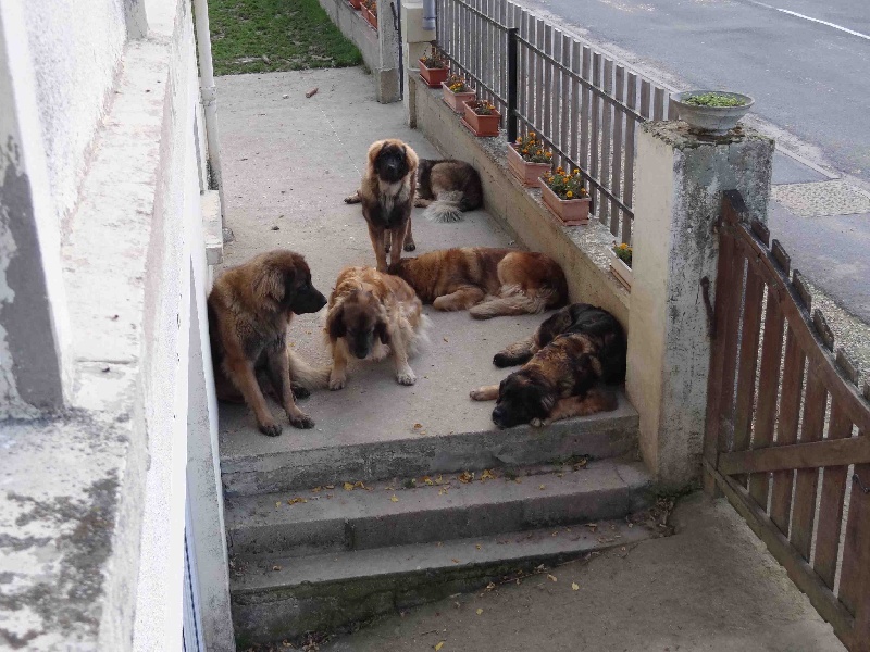 Hindra kinnley du chemin de dolimon