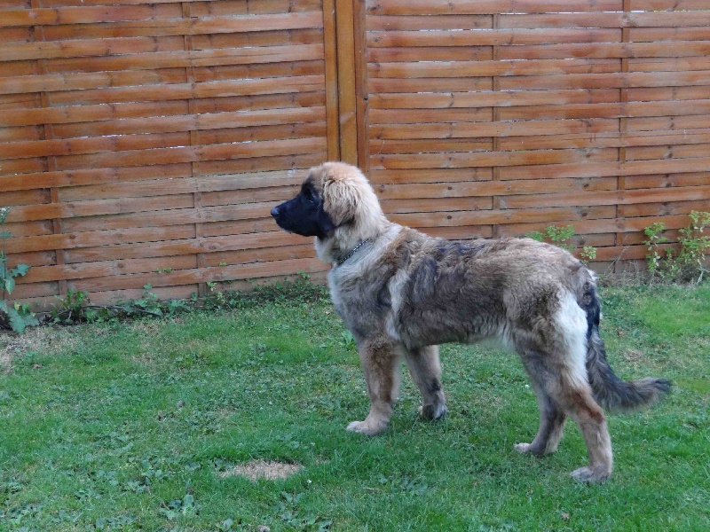 Hindra kinnley du chemin de dolimon