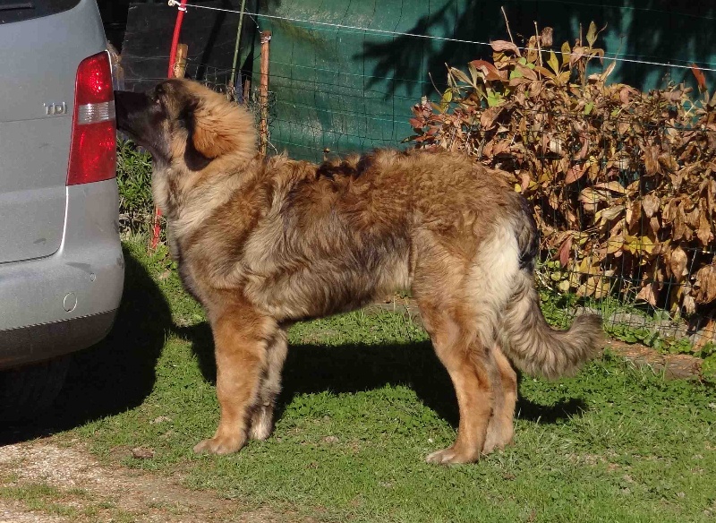 Hindra kinnley du chemin de dolimon