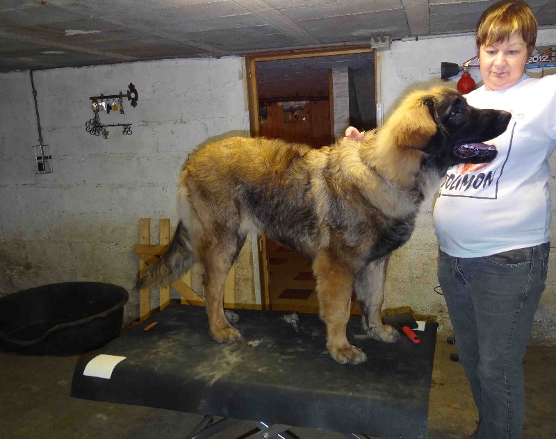 Hindra kinnley du chemin de dolimon