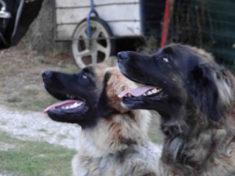 Hindra kinnley du chemin de dolimon