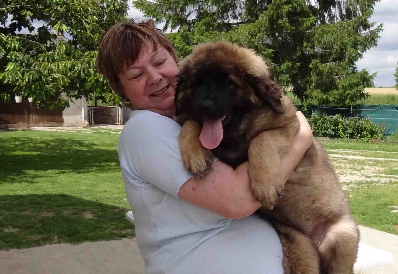 Hindra kinnley du chemin de dolimon