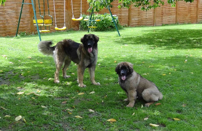 Hindra kinnley du chemin de dolimon