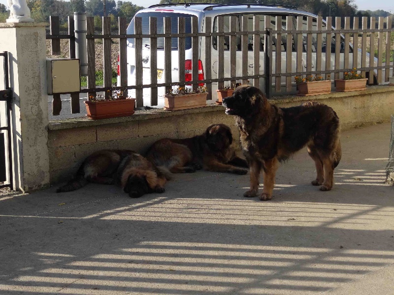 Hindra kinnley du chemin de dolimon