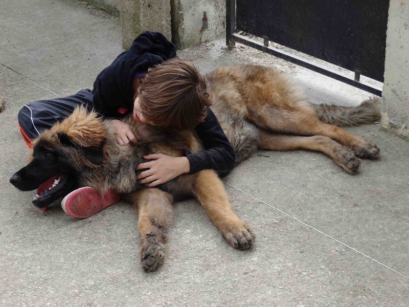 Hindra kinnley du chemin de dolimon