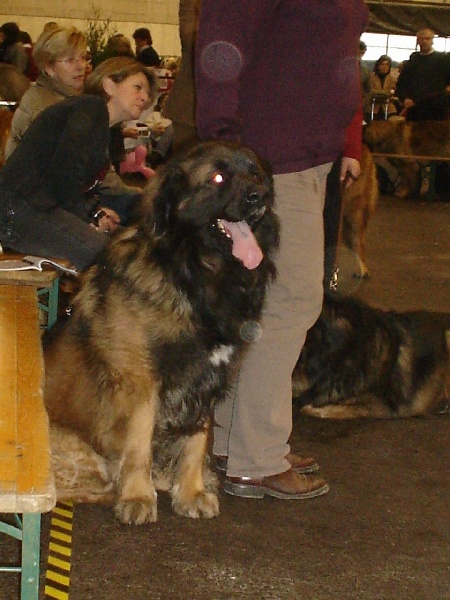 Publication : du chemin de dolimon Auteur : decker nicole