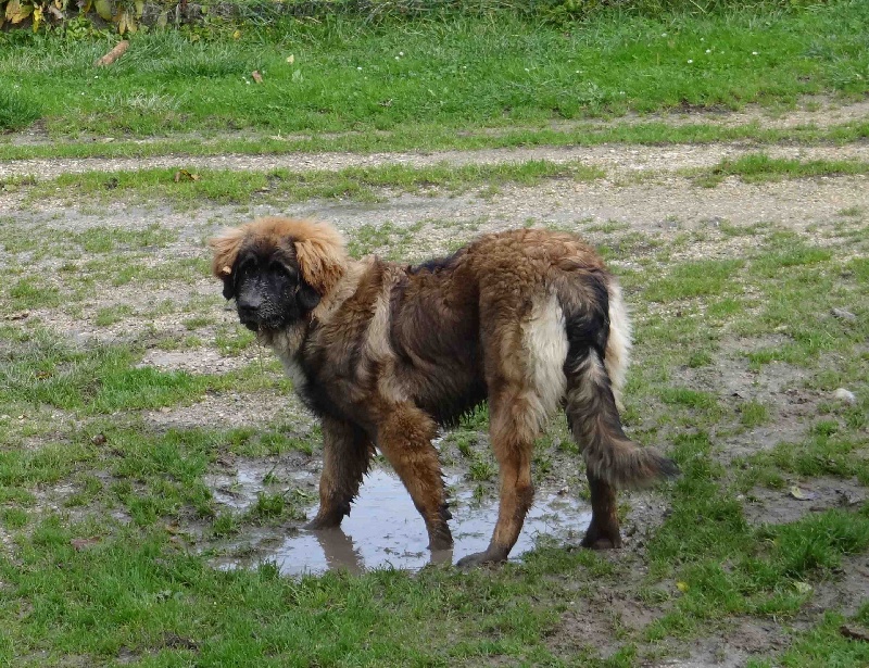 Hindra kinnley du chemin de dolimon