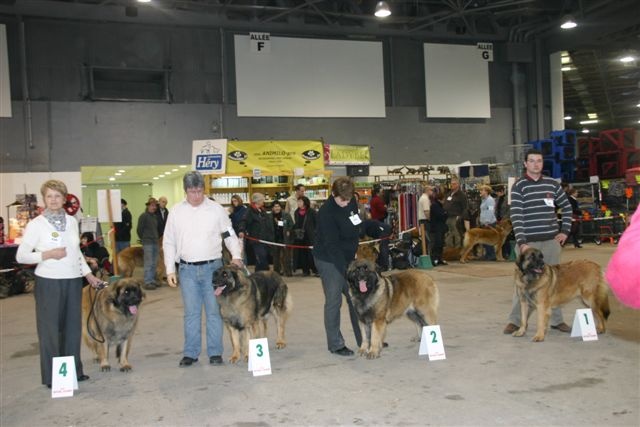 Charley unval du chemin de dolimon - 3em Excellent