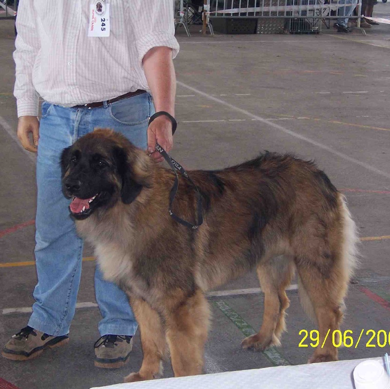 Charley unval du chemin de dolimon - 2em Excellent