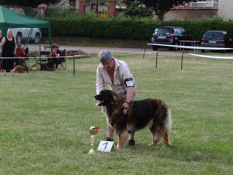 Charley unval du chemin de dolimon - 1 Excellent + meilleure femelle