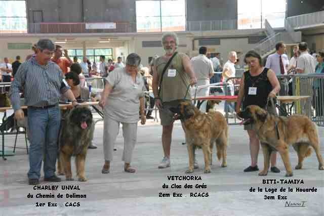 Charley unval du chemin de dolimon - 1 Excellent + CACS