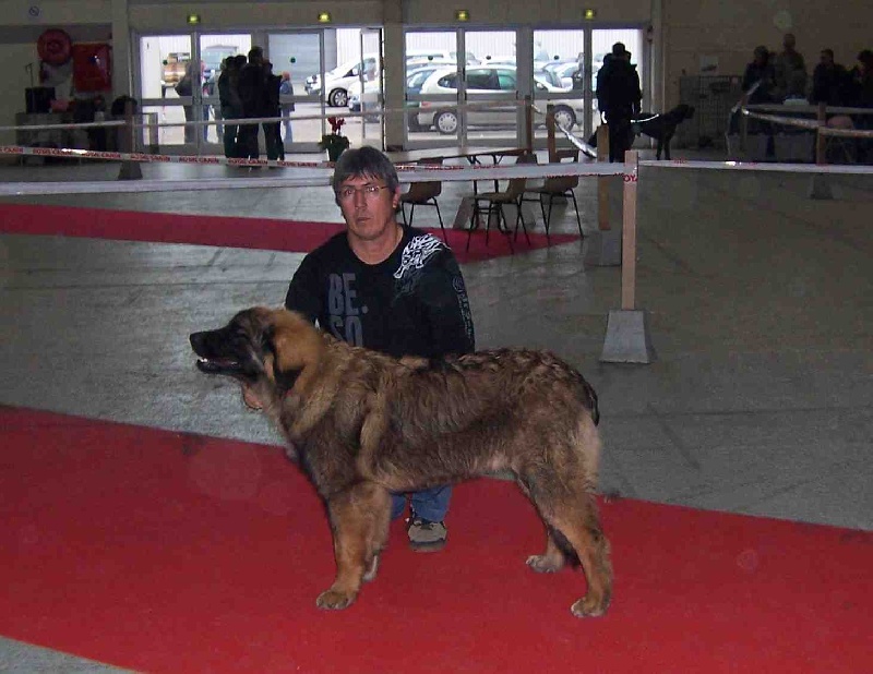 Charley unval du chemin de dolimon - Trés Prometteur