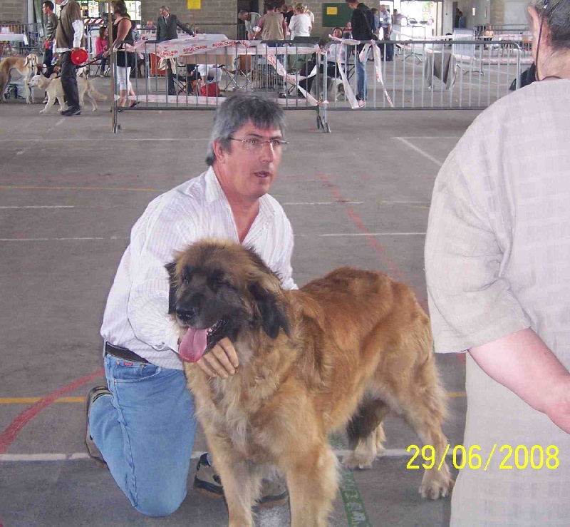 Urlane du chemin de dolimon - Excellent