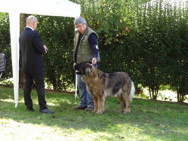 Charley unval du chemin de dolimon - 3em Excellent