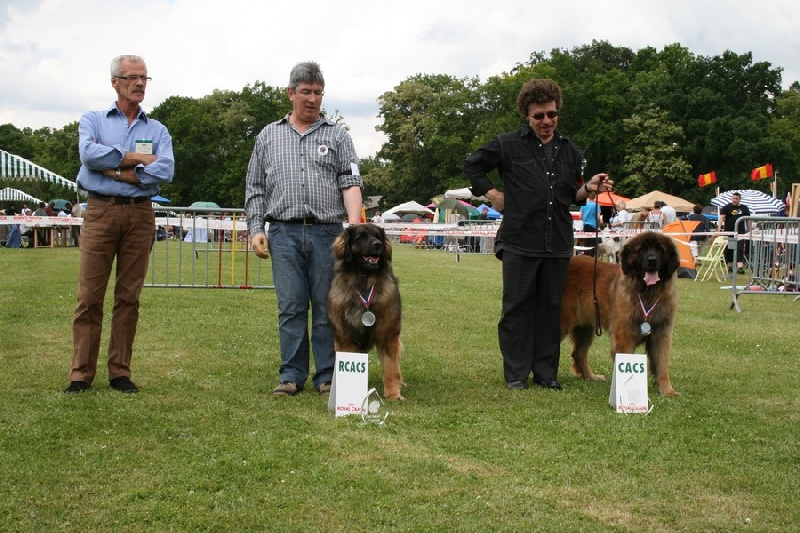 Charley unval du chemin de dolimon - 2 em Excellent