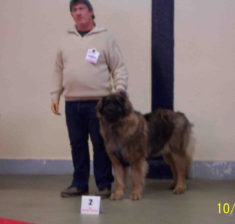 Charley unval du chemin de dolimon - 2 Exc + R.C.A.C.S (classe ouverte)