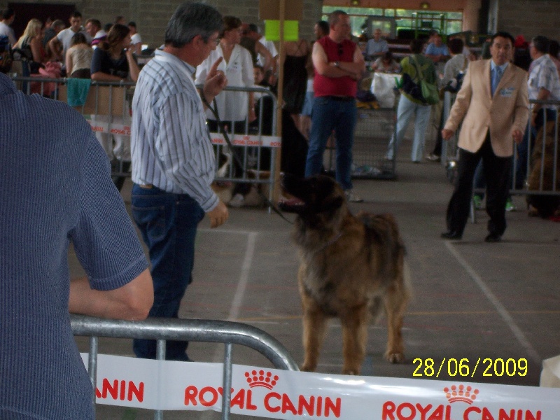 Charley unval du chemin de dolimon - 1er Excellent + CACS