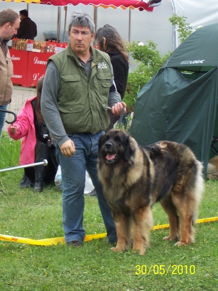 Charley unval du chemin de dolimon - 2em Excellent + RCACS